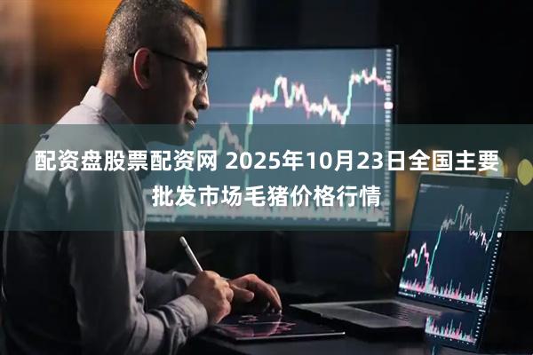 配资盘股票配资网 2025年10月23日全国主要批发市场毛猪价格行情