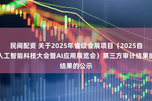 民间配资 关于2025年省级会展项目（2025自贸港人工智能科技大会暨AI应用展览会）第三方审计结果的公示